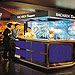 Bacardi Bar